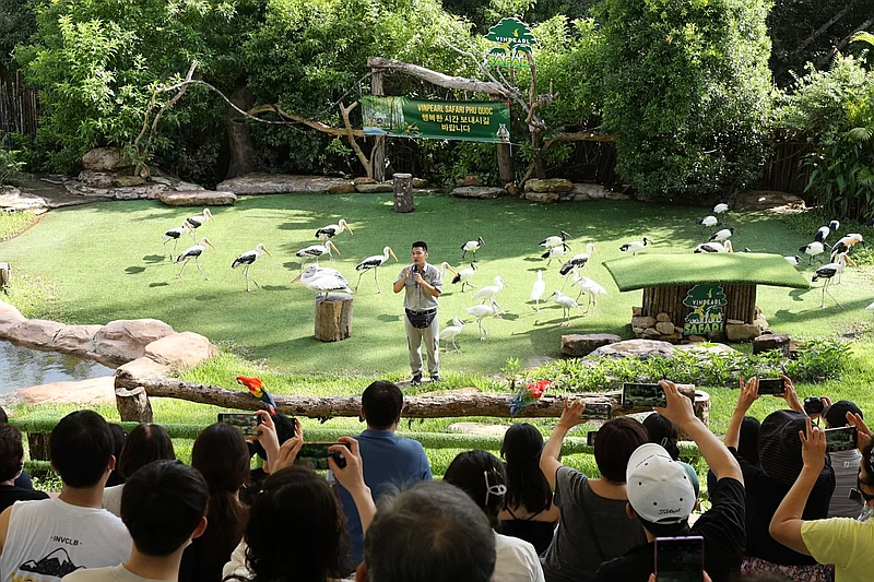 Phú Quốc 3 Ngày 2 Đêm – Đông Đảo & Nam Đảo